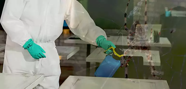 Why Buyers Still Want Homes With Pest Infestations in Ohio, OH?
