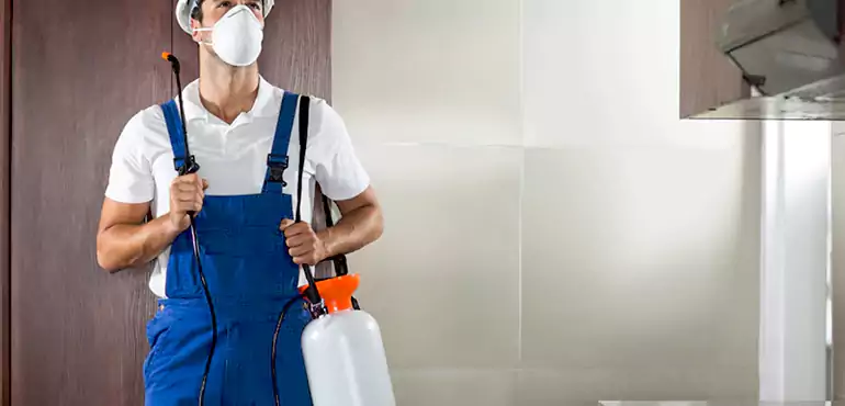 Why Ohio Homeowners Choose Us When Pests Make Selling Difficult
