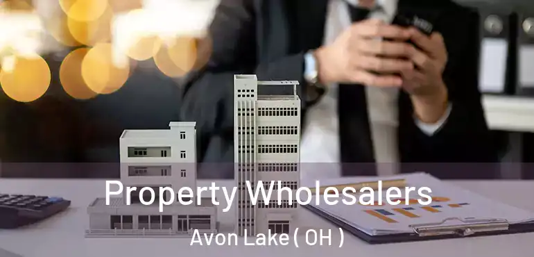  Property Wholesalers Avon Lake ( OH )