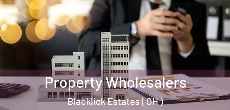  Property Wholesalers Blacklick Estates ( OH )