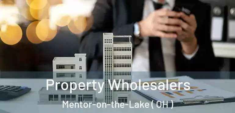  Property Wholesalers Mentor-on-the-Lake ( OH )