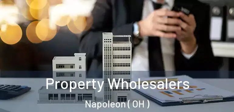  Property Wholesalers Napoleon ( OH )