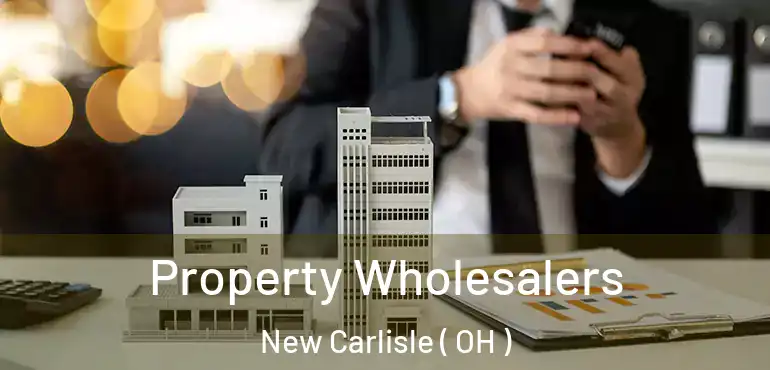  Property Wholesalers New Carlisle ( OH )