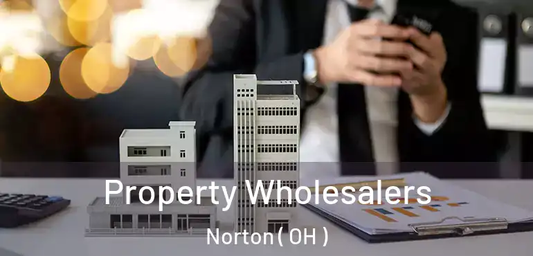  Property Wholesalers Norton ( OH )