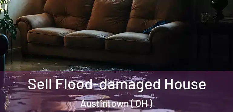  Sell Flood-damaged House Austintown ( OH )