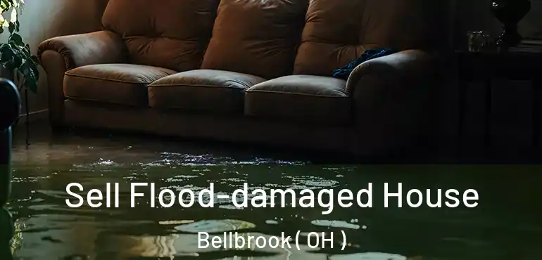  Sell Flood-damaged House Bellbrook ( OH )