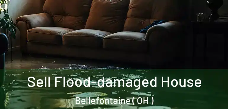  Sell Flood-damaged House Bellefontaine ( OH )