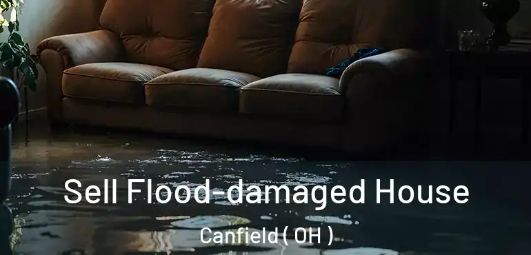  Sell Flood-damaged House Canfield ( OH )