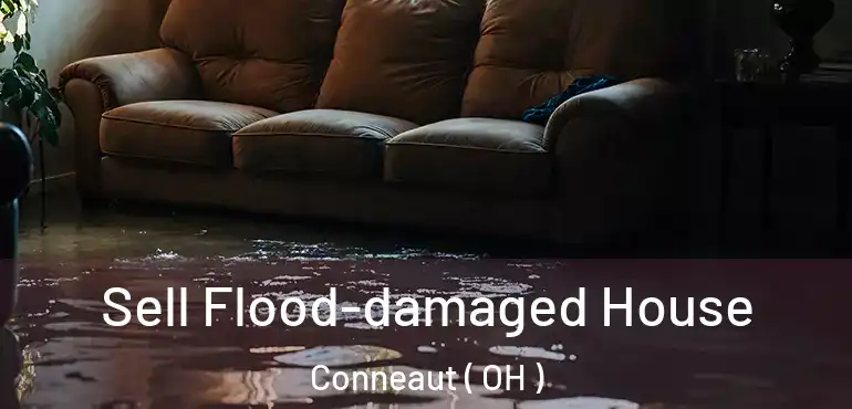  Sell Flood-damaged House Conneaut ( OH )