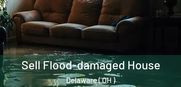  Sell Flood-damaged House Delaware ( OH )
