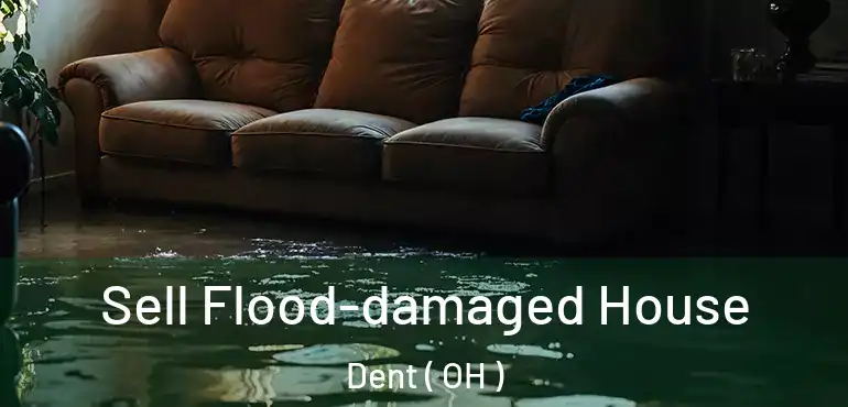  Sell Flood-damaged House Dent ( OH )