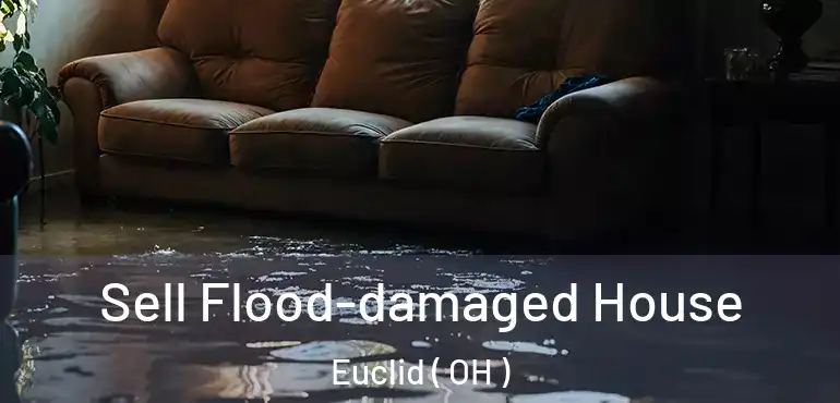  Sell Flood-damaged House Euclid ( OH )