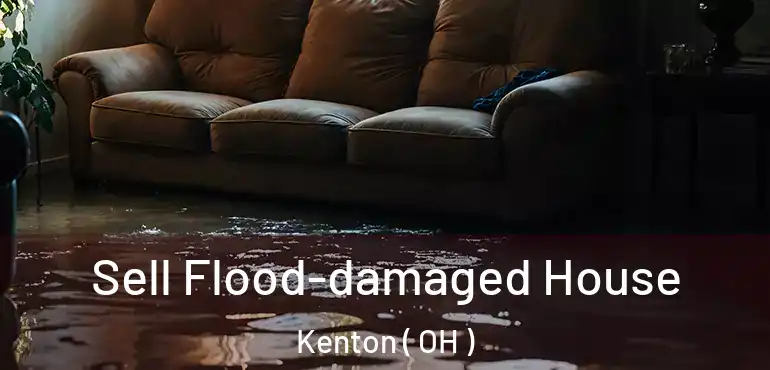  Sell Flood-damaged House Kenton ( OH )