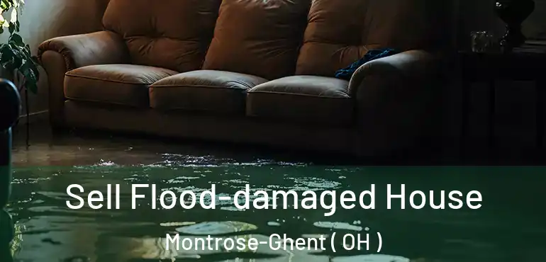  Sell Flood-damaged House Montrose-Ghent ( OH )
