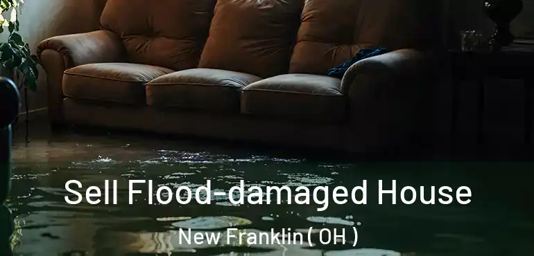  Sell Flood-damaged House New Franklin ( OH )