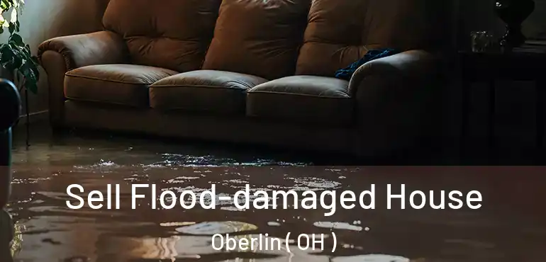  Sell Flood-damaged House Oberlin ( OH )