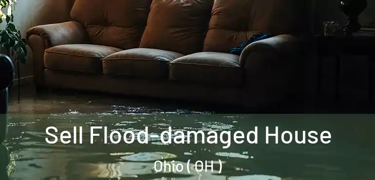  Sell Flood-damaged House Ohio ( OH )