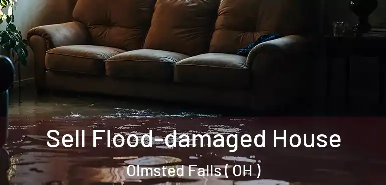  Sell Flood-damaged House Olmsted Falls ( OH )
