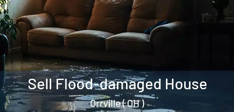  Sell Flood-damaged House Orrville ( OH )