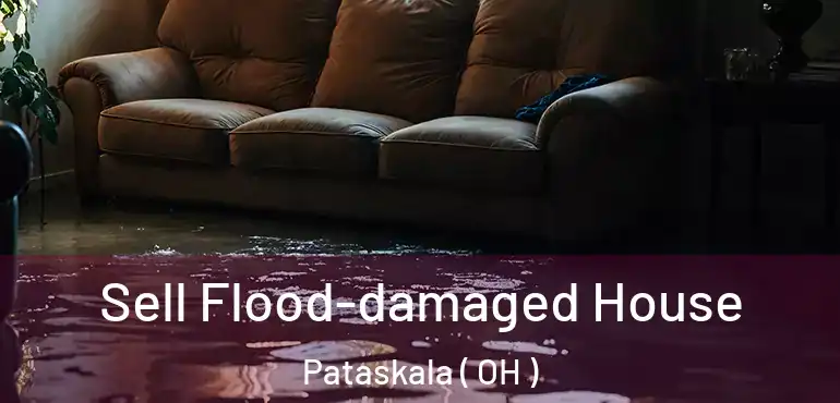  Sell Flood-damaged House Pataskala ( OH )