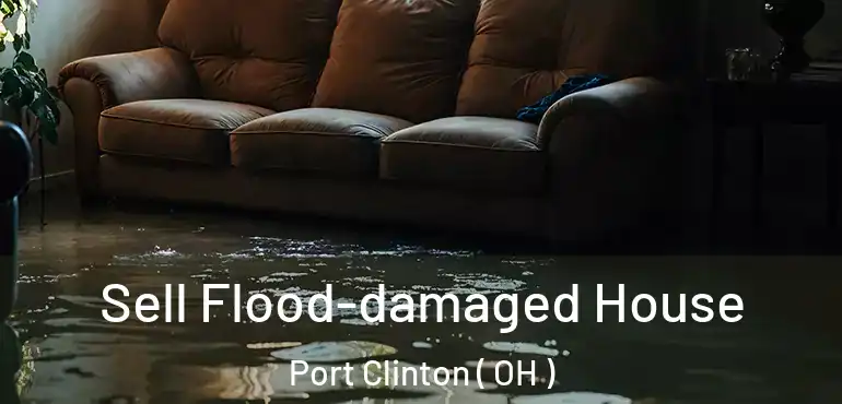  Sell Flood-damaged House Port Clinton ( OH )