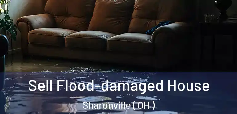 Sell Flood-damaged House Sharonville ( OH )