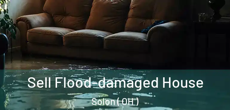  Sell Flood-damaged House Solon ( OH )