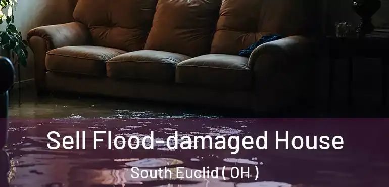  Sell Flood-damaged House South Euclid ( OH )