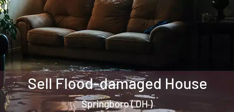  Sell Flood-damaged House Springboro ( OH )