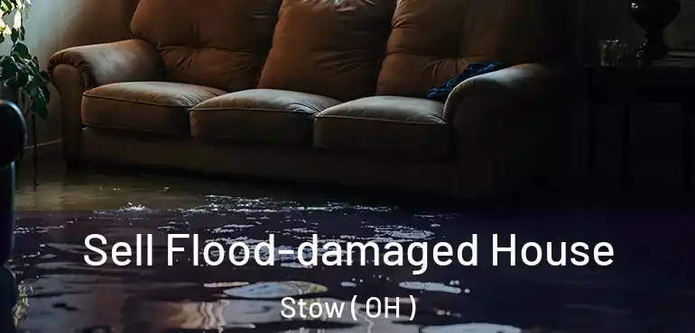  Sell Flood-damaged House Stow ( OH )