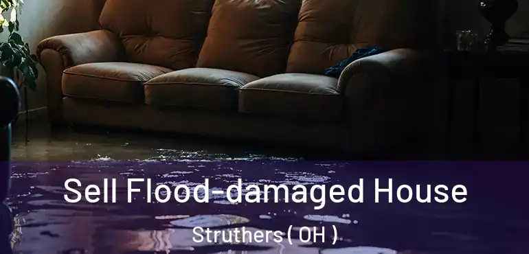  Sell Flood-damaged House Struthers ( OH )