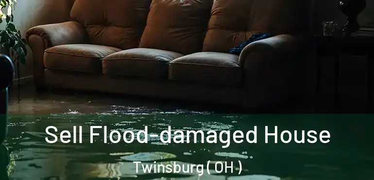  Sell Flood-damaged House Twinsburg ( OH )
