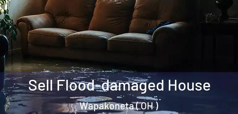  Sell Flood-damaged House Wapakoneta ( OH )