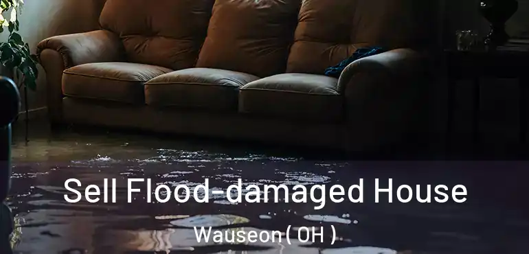  Sell Flood-damaged House Wauseon ( OH )