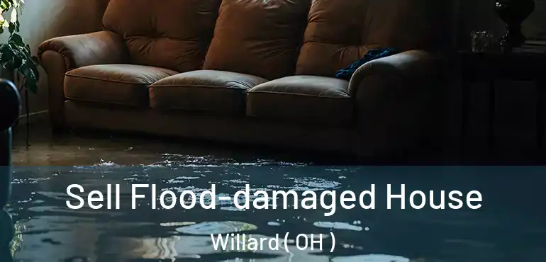  Sell Flood-damaged House Willard ( OH )