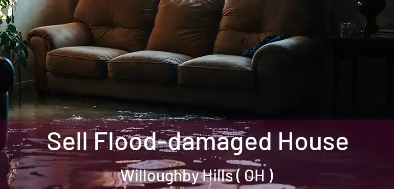  Sell Flood-damaged House Willoughby Hills ( OH )