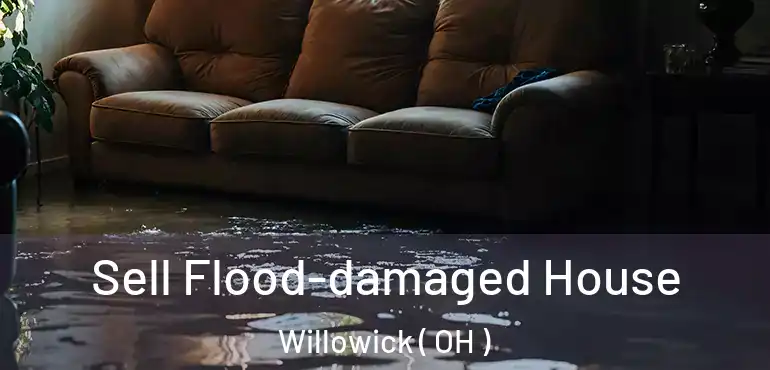 Sell Flood-damaged House Willowick ( OH )