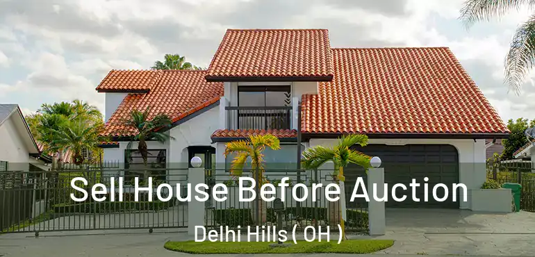  Sell House Before Auction Delhi Hills ( OH )