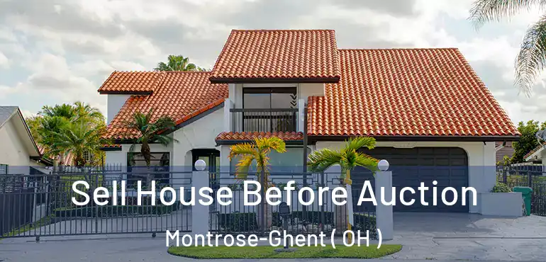  Sell House Before Auction Montrose-Ghent ( OH )