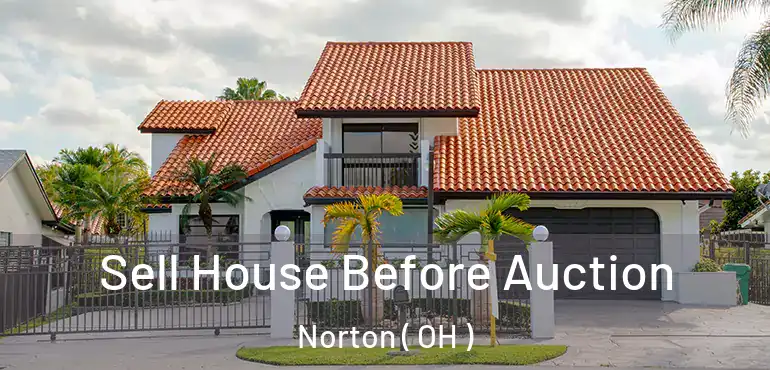  Sell House Before Auction Norton ( OH )