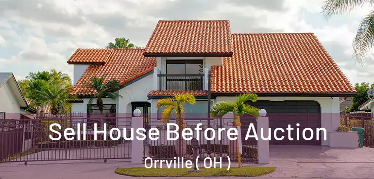  Sell House Before Auction Orrville ( OH )