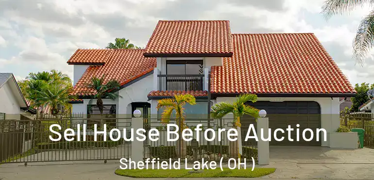  Sell House Before Auction Sheffield Lake ( OH )