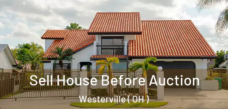  Sell House Before Auction Westerville ( OH )