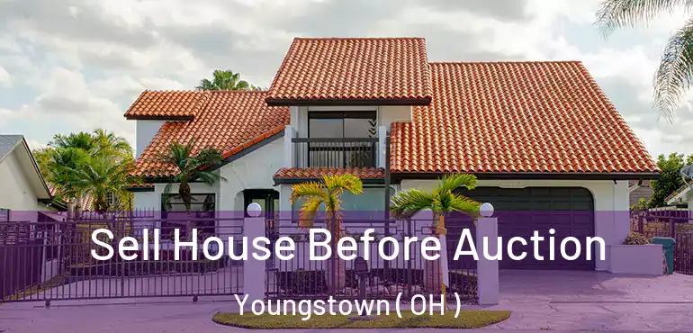  Sell House Before Auction Youngstown ( OH )