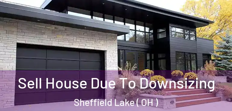  Sell House Due To Downsizing Sheffield Lake ( OH )