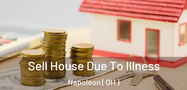  Sell House Due To Illness Napoleon ( OH )