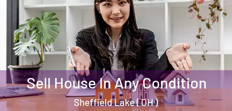  Sell House In Any Condition Sheffield Lake ( OH )