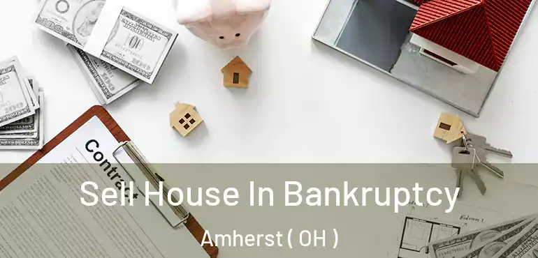  Sell House In Bankruptcy Amherst ( OH )