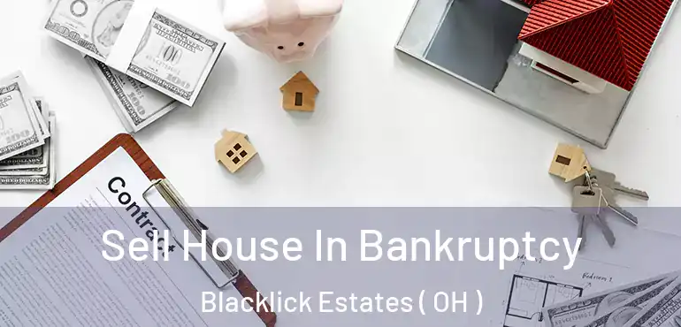  Sell House In Bankruptcy Blacklick Estates ( OH )