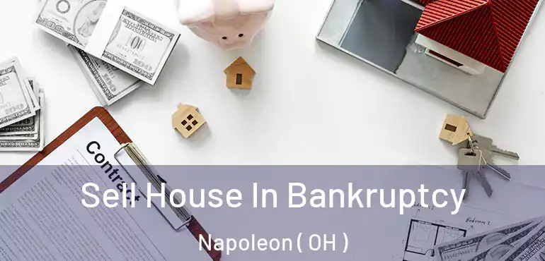  Sell House In Bankruptcy Napoleon ( OH )